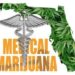 Florida Has Legalized Marijuana.  So Now What?