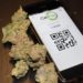 CanPay Debuts First Legitimate Debit Payment System for Cannabis Purchases